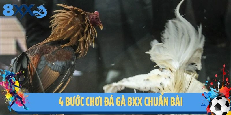 4 bước chơi đá gà 8xx chuẩn bài