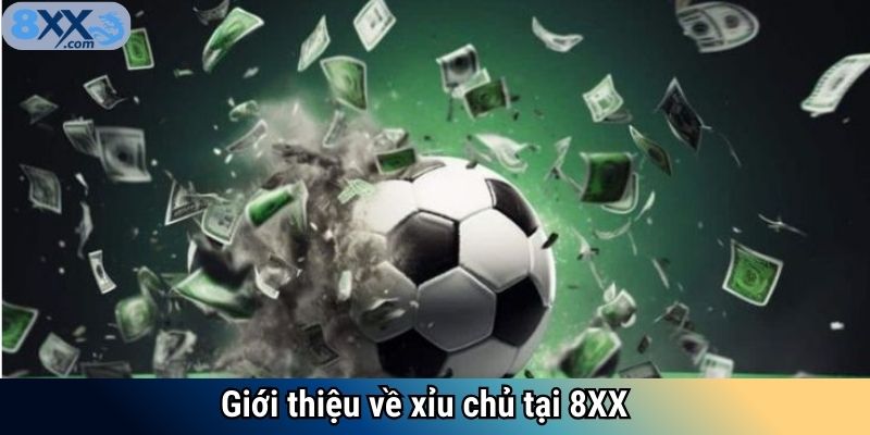Giới thiệu về xỉu chủ tại 8XX