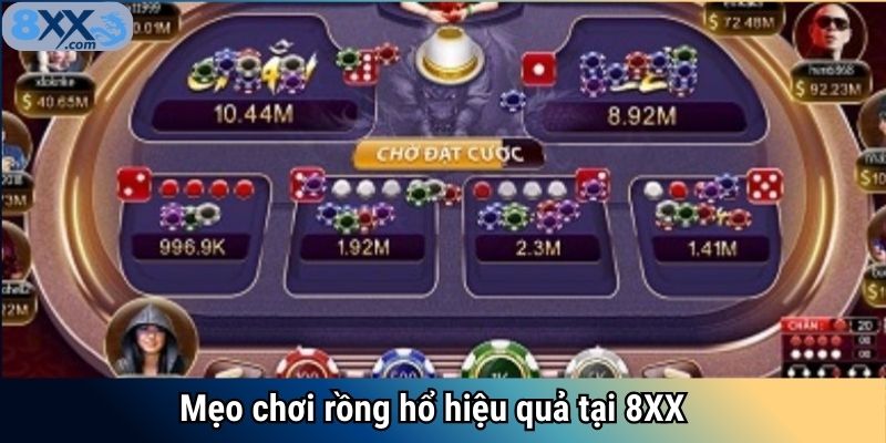 Mẹo chơi rồng hổ hiệu quả tại 8XX