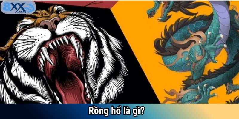 Rồng hổ là gì?